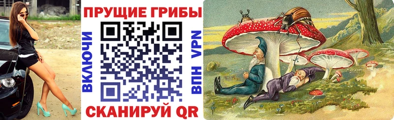наркошоп Барабинск Псилоцибиновые грибы прущие грибы